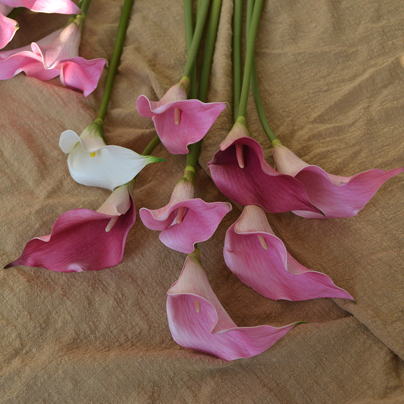 Juego de 10 flores artificiales de lirio de cala de tacto real de 20"/25"